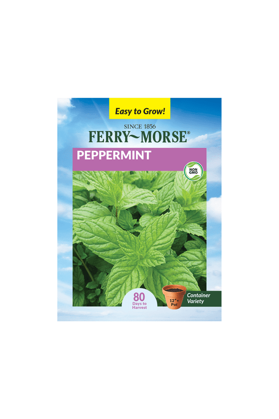 100MG Peppermint Perennial Herb Seeds, Full Sun