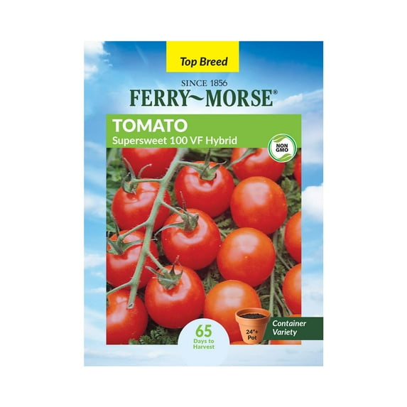 Ferry-Morse 15 PS Tomato Supersweet Hybrid Pelleted Annual Vegetable Seeds, Full Sun