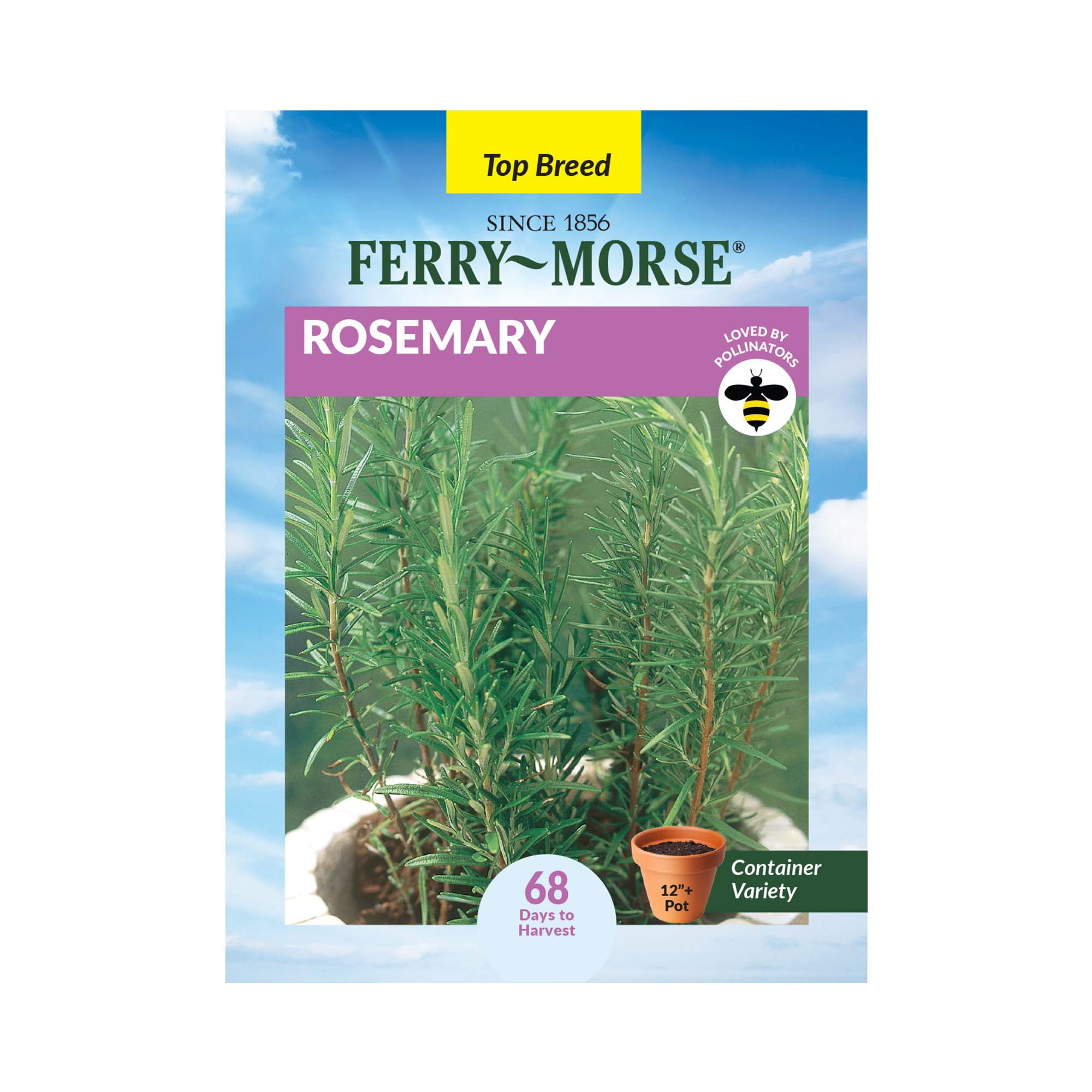 Ferry-Morse 110MG Rosemary Perennial Herb Seeds, Full Sun