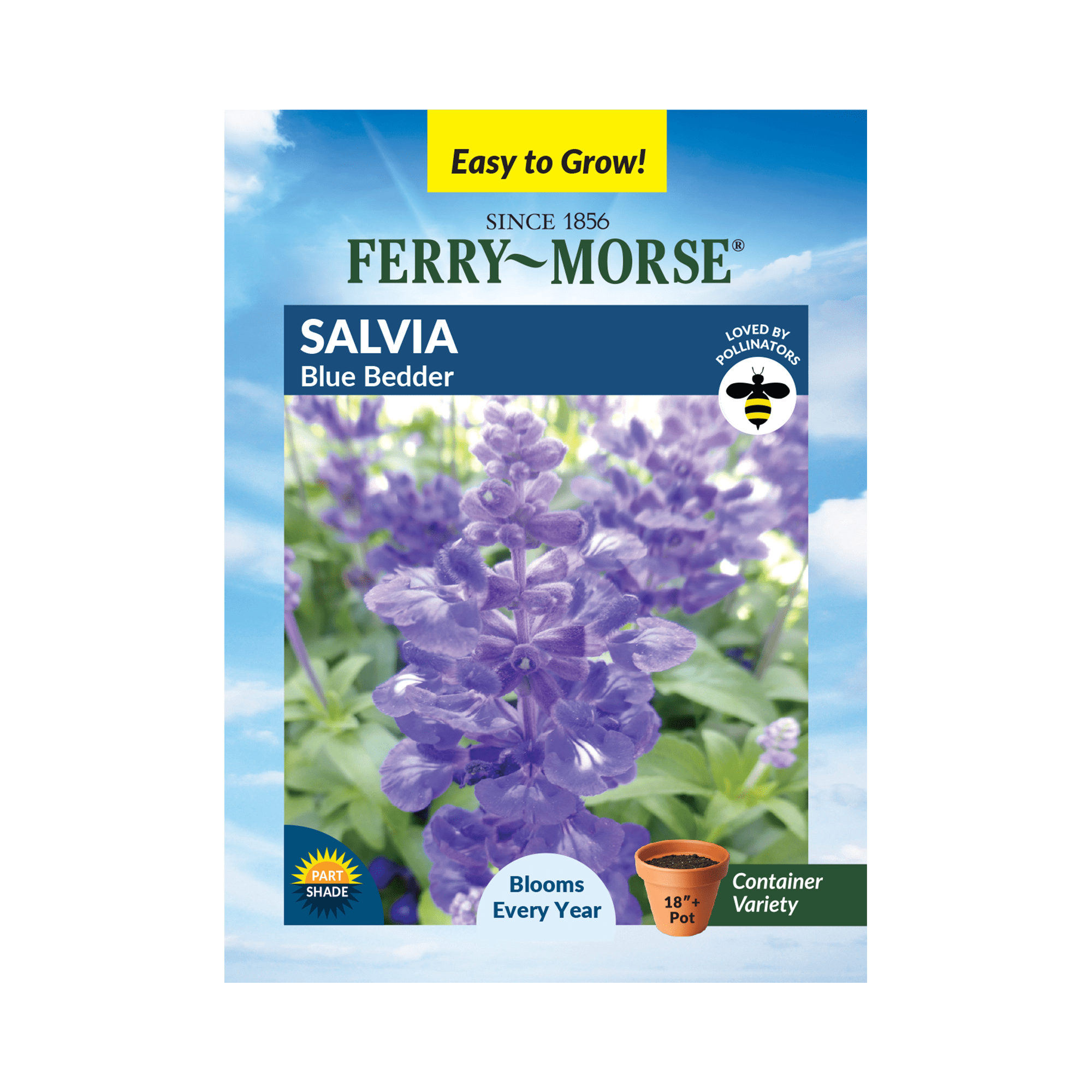 Ferry-Morse 110MG Salvia Blue Bedder Perennial Flower Seeds, Partial Shade