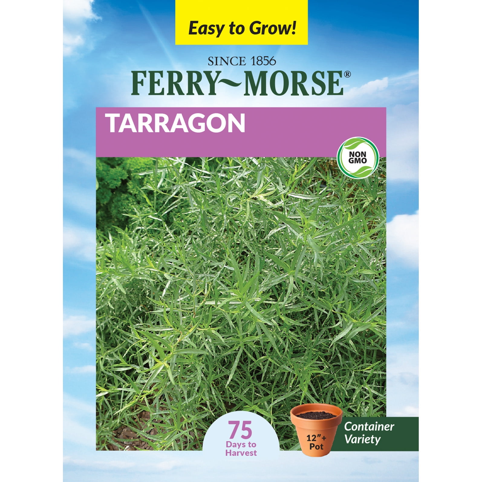 Tarragon Seed