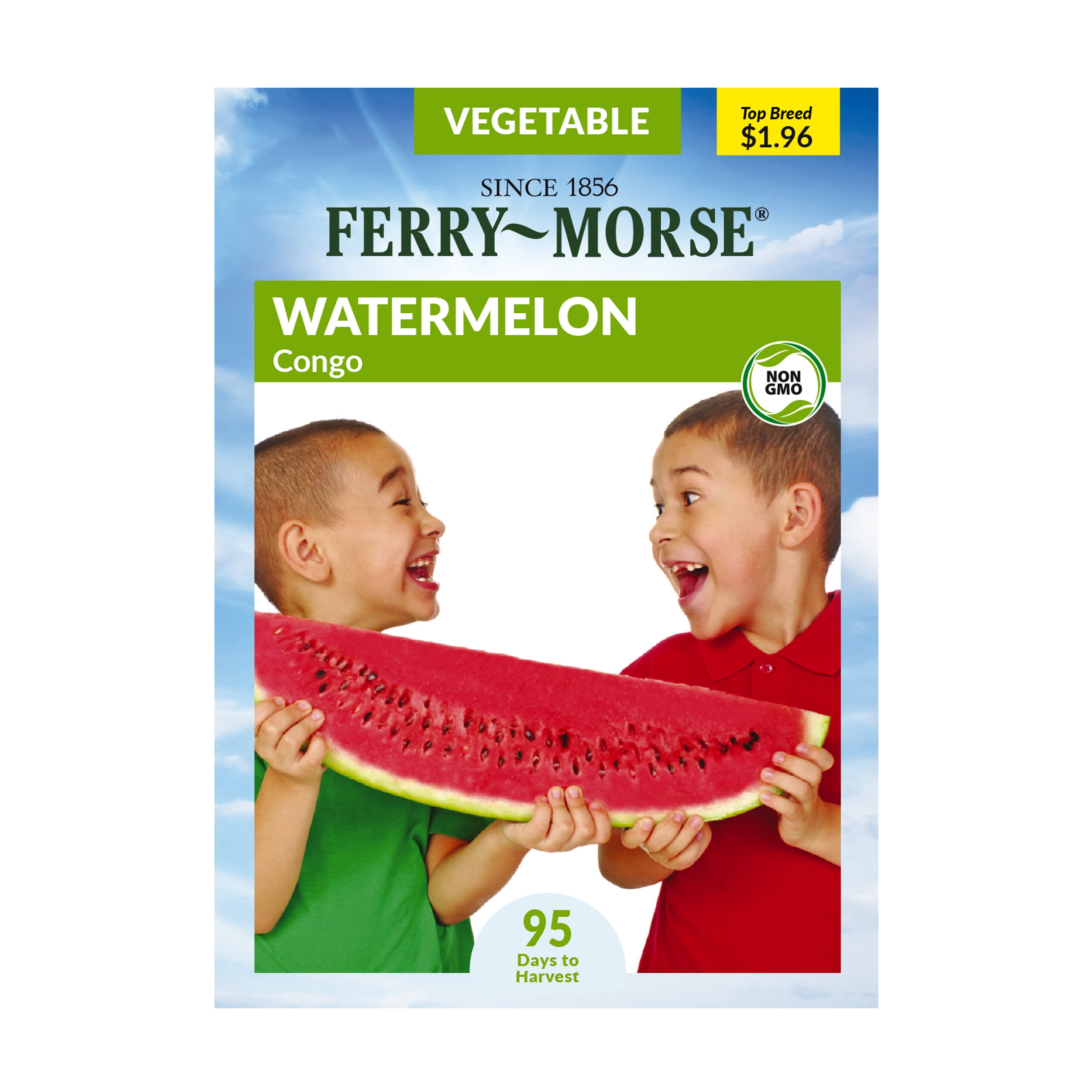 FerryMorse 110MG Watermelon Congo Vegetable Plants Seeds Packet Seed Gardening, Full Sunlight