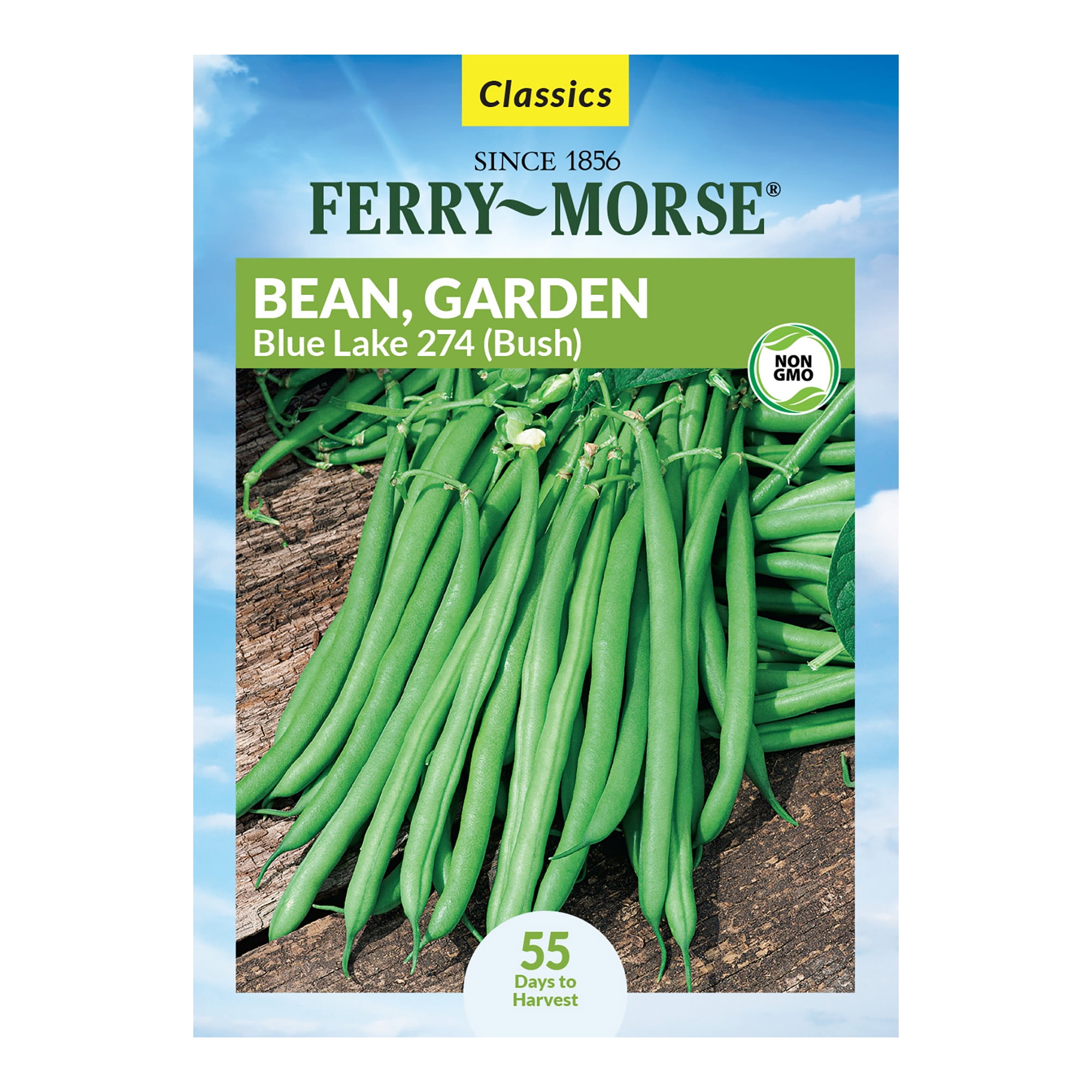 Ferry-Morse 11G Bean Blue Lake 274 Annual Vegetable Seeds, Full Sun ...