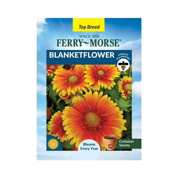 Ferry-Morse 120MG Blanketflower Perennial Flower Seeds, Full Sun