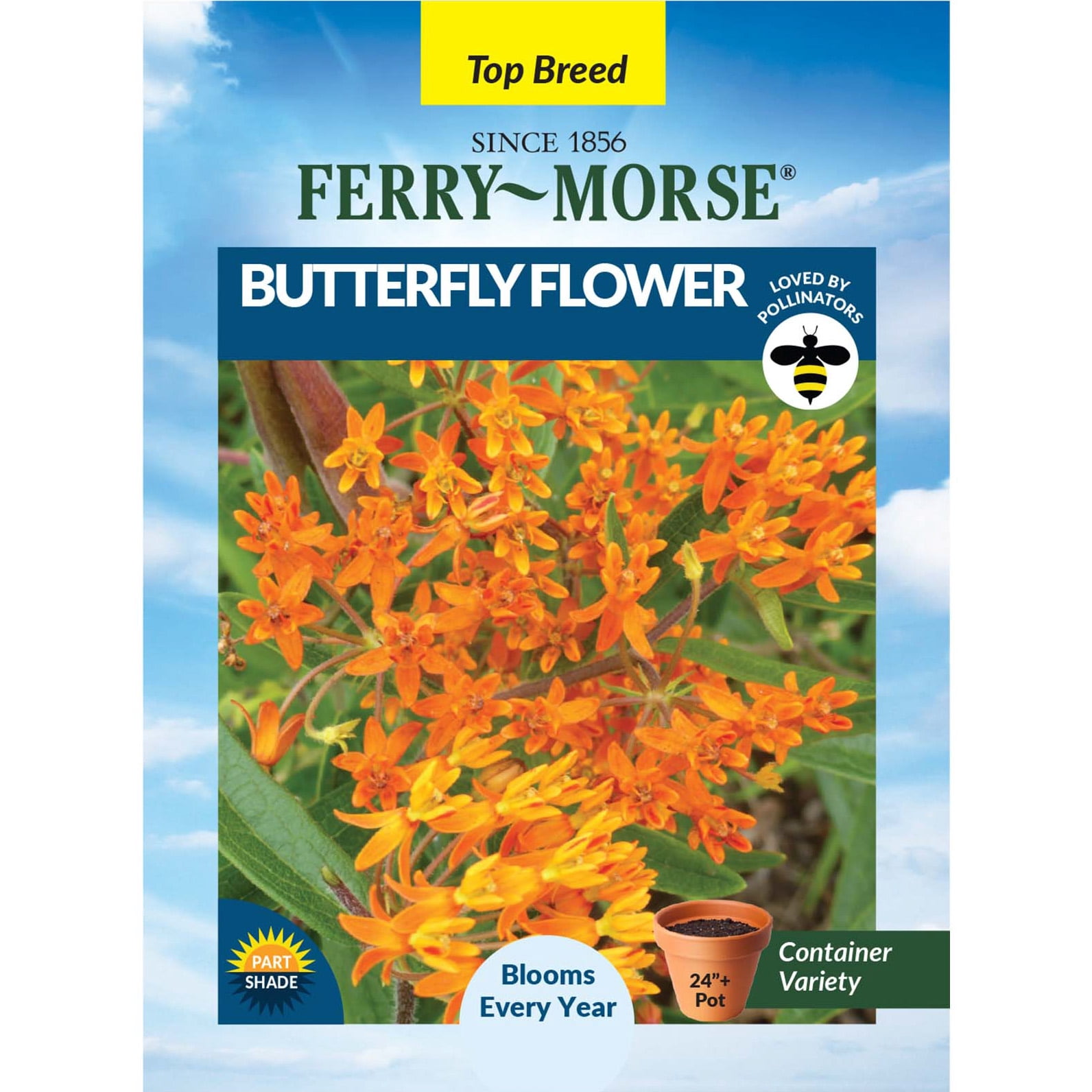 valerian plant seeds Bulk Valerian Seeds main image 1