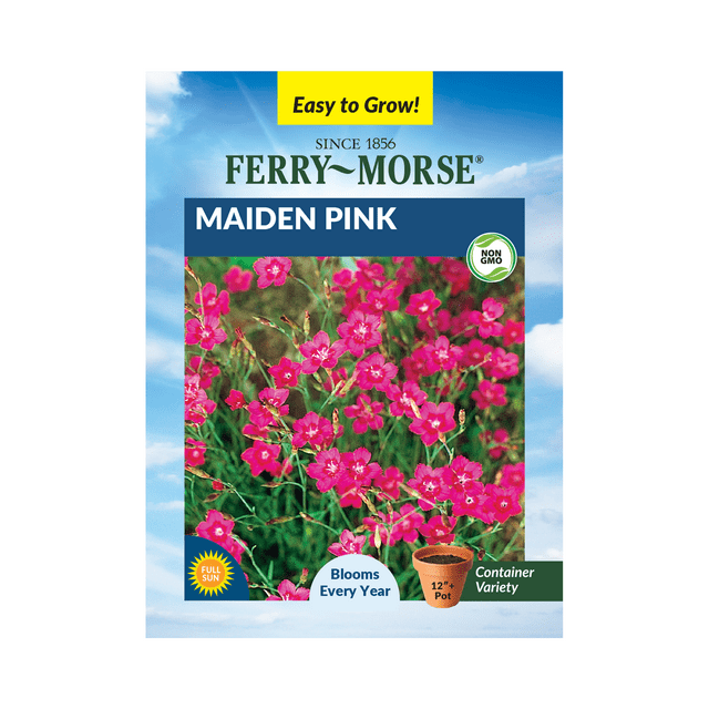 FerryMorse 120MG Maiden Pink Perennial Flower Seeds Full Sun