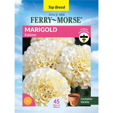 Ferry-Morse 120MG Marigold Eskimo Annual Flower Seeds, Full Sun