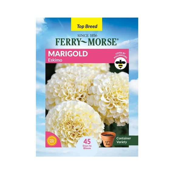 Ferry-Morse 120MG Marigold Eskimo Annual Flower Seeds, Full Sun