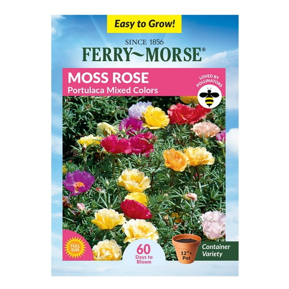 Ferry-Morse 120MG Moss Rose Portulaca Mixed Colors Annual Flower Seeds, Full Sun