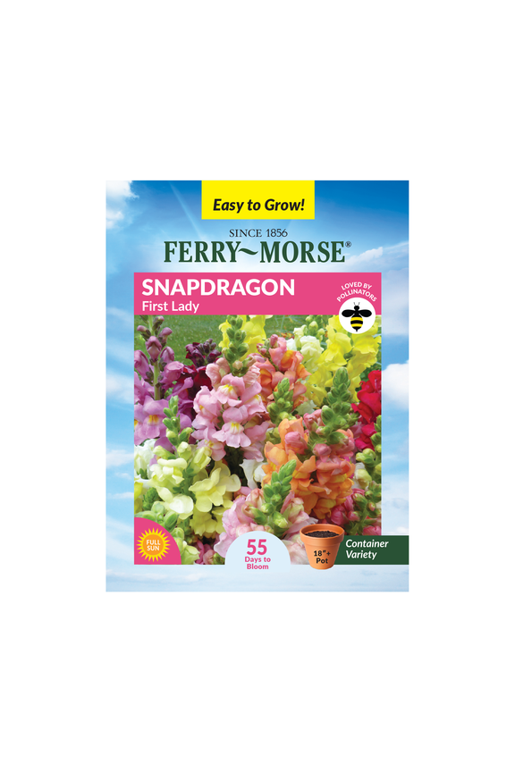 120MG Snapdragon First Lady Annual Flower Seeds, Full Sun