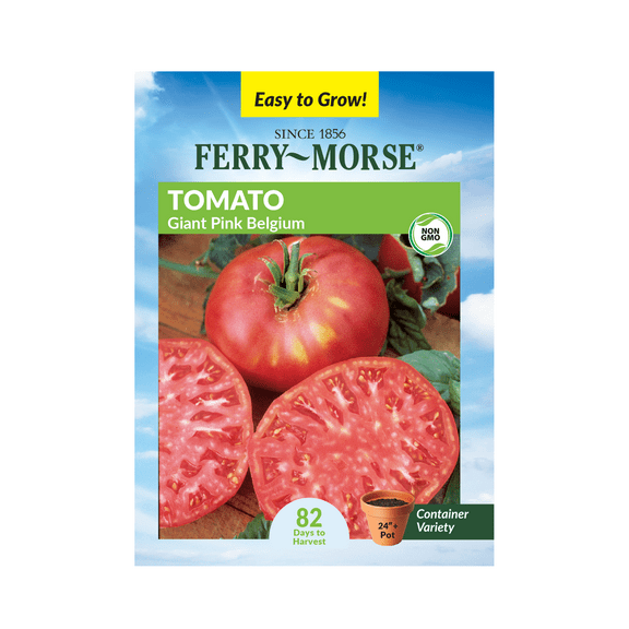 Ferry-Morse 120MG Tomato Giant Pink Belgium Annual Vegetable Seeds, Full Sun