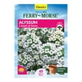 thumbnail image 1 of Ferry-Morse 125MG Alyssum Carpet Of Snow Annual Flower Seeds, Full Sun, 1 of 10