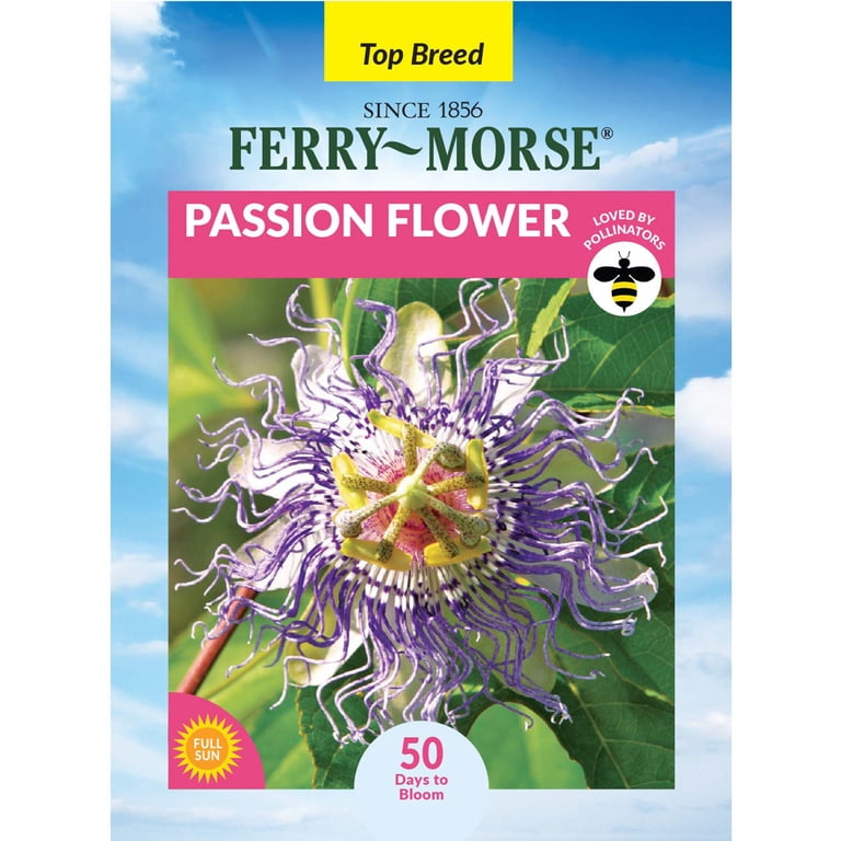 Ferry-Morse 125MG Passion Flower Annual Flower Seeds, Full Sun