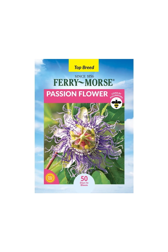125MG Passion Flower Annual Flower Seeds, Full Sun