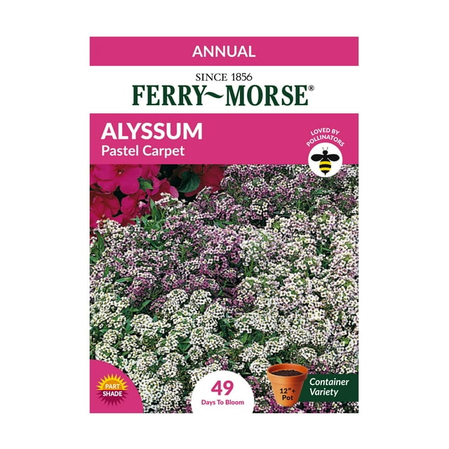 FerryMorse 12MG Alyssum Pastel Carpet Flower Seeds Annual Flower Seeds