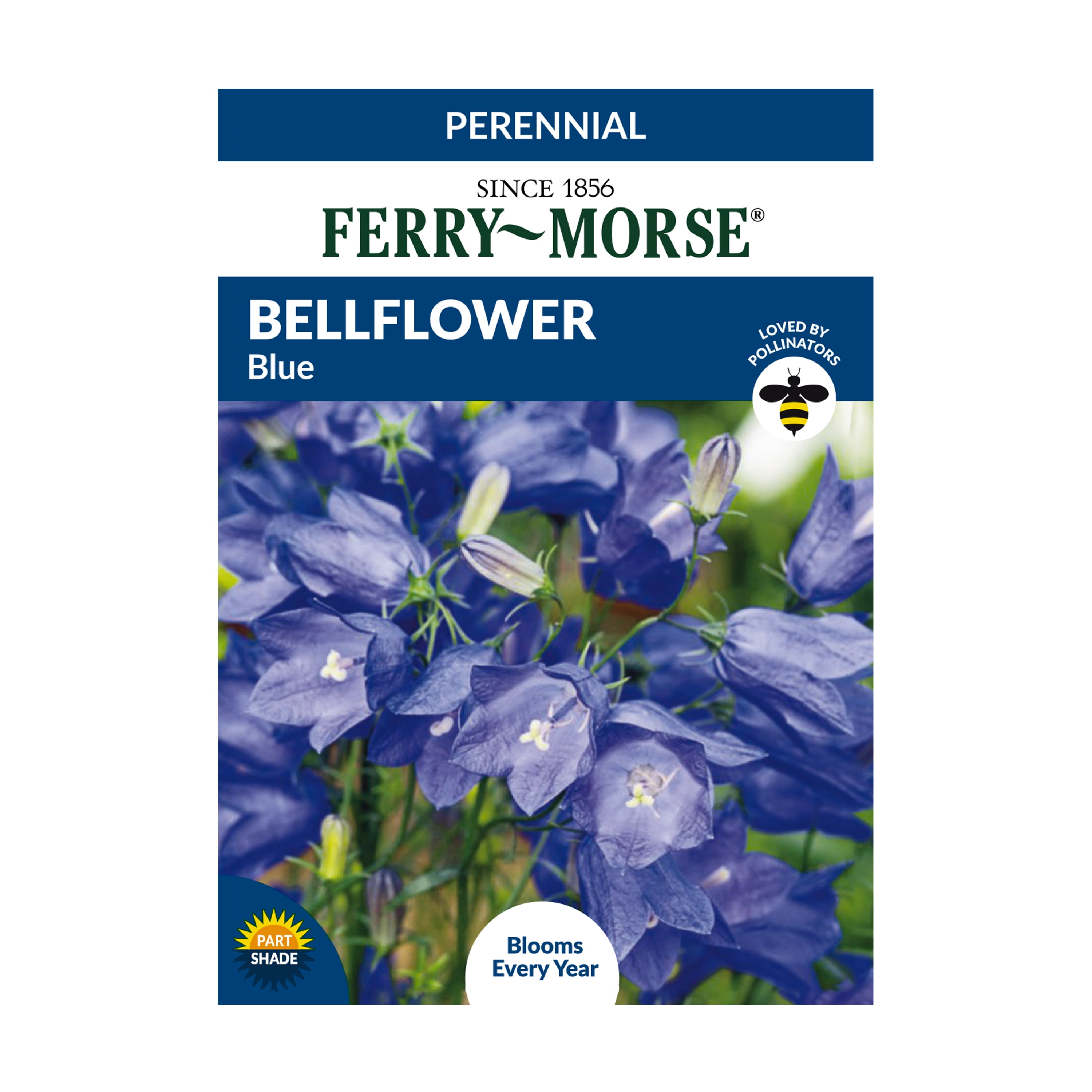 FerryMorse 13.5MG Bellflower Blue Perennial Flower Seeds Part Sun