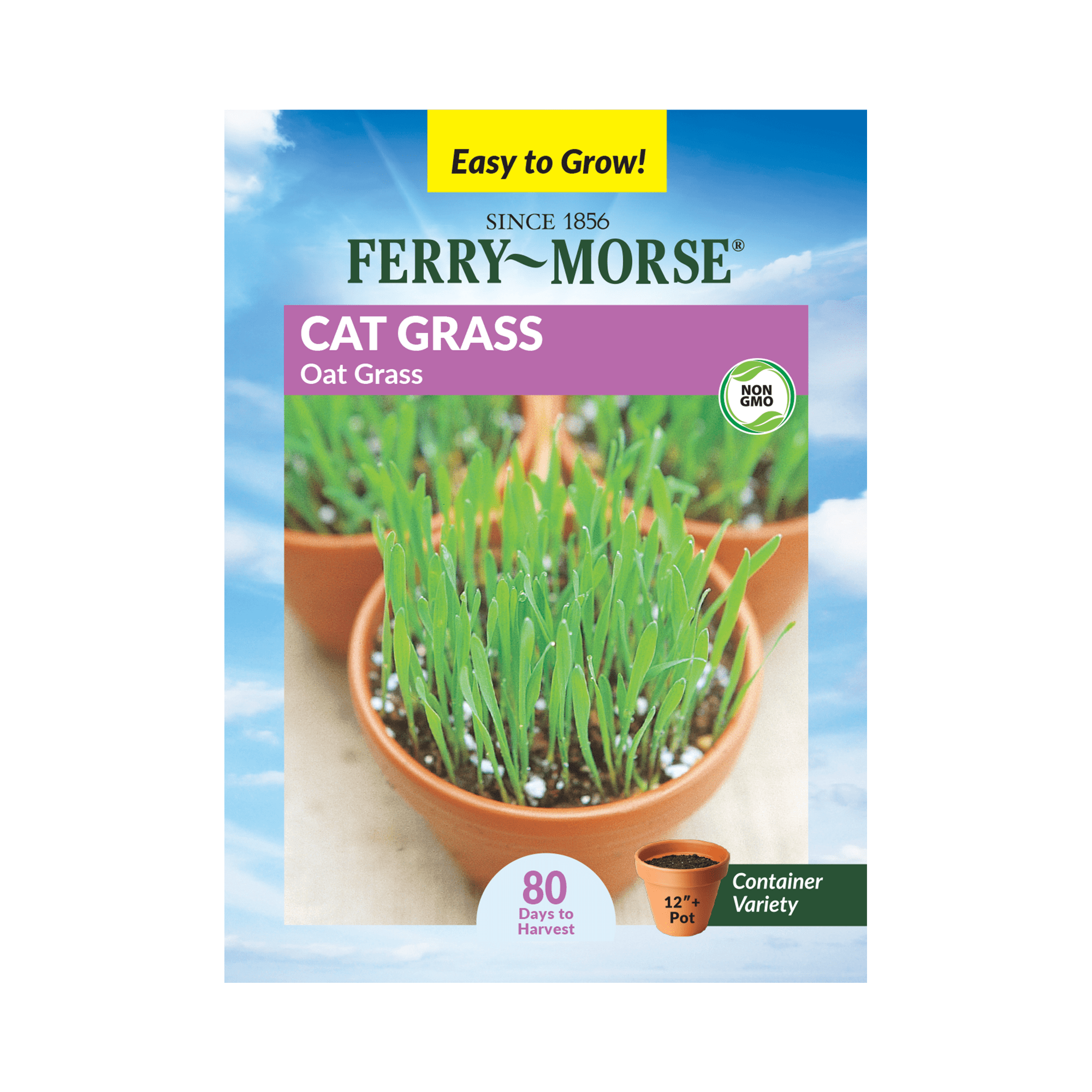 FerryMorse 1300MG Catgrass Herb Plant Seeds Full Sun