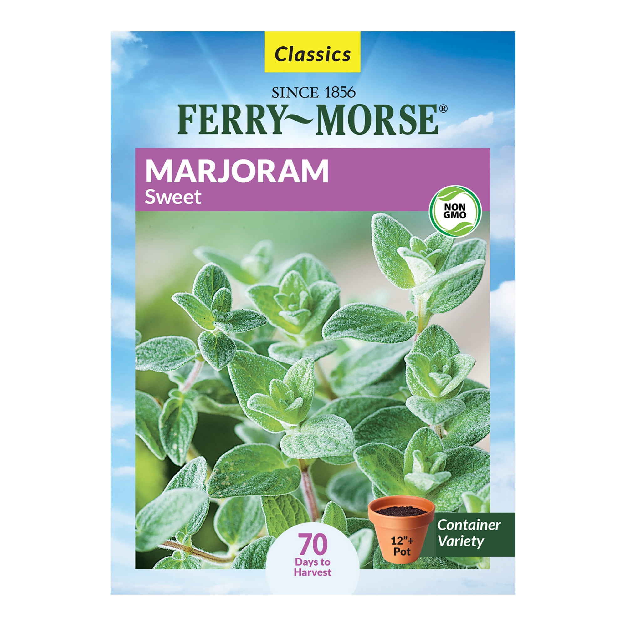 FerryMorse 130MG Marjoram Sweet Herb Plant Seeds Full Sun