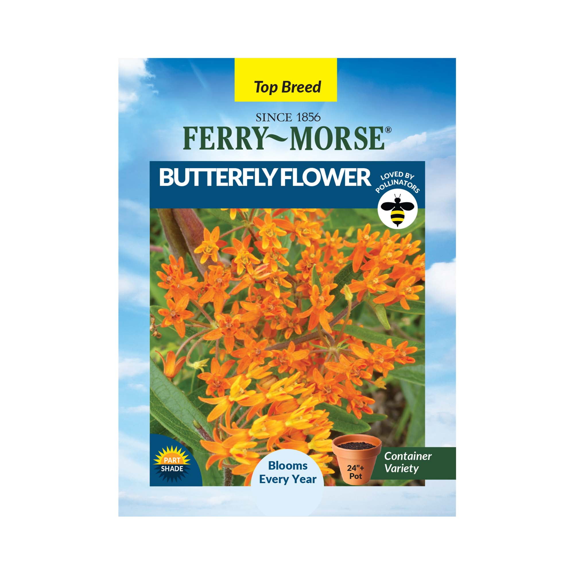 FerryMorse 135MG Butterfly Flower Perennial Flower Seeds Partial Shade