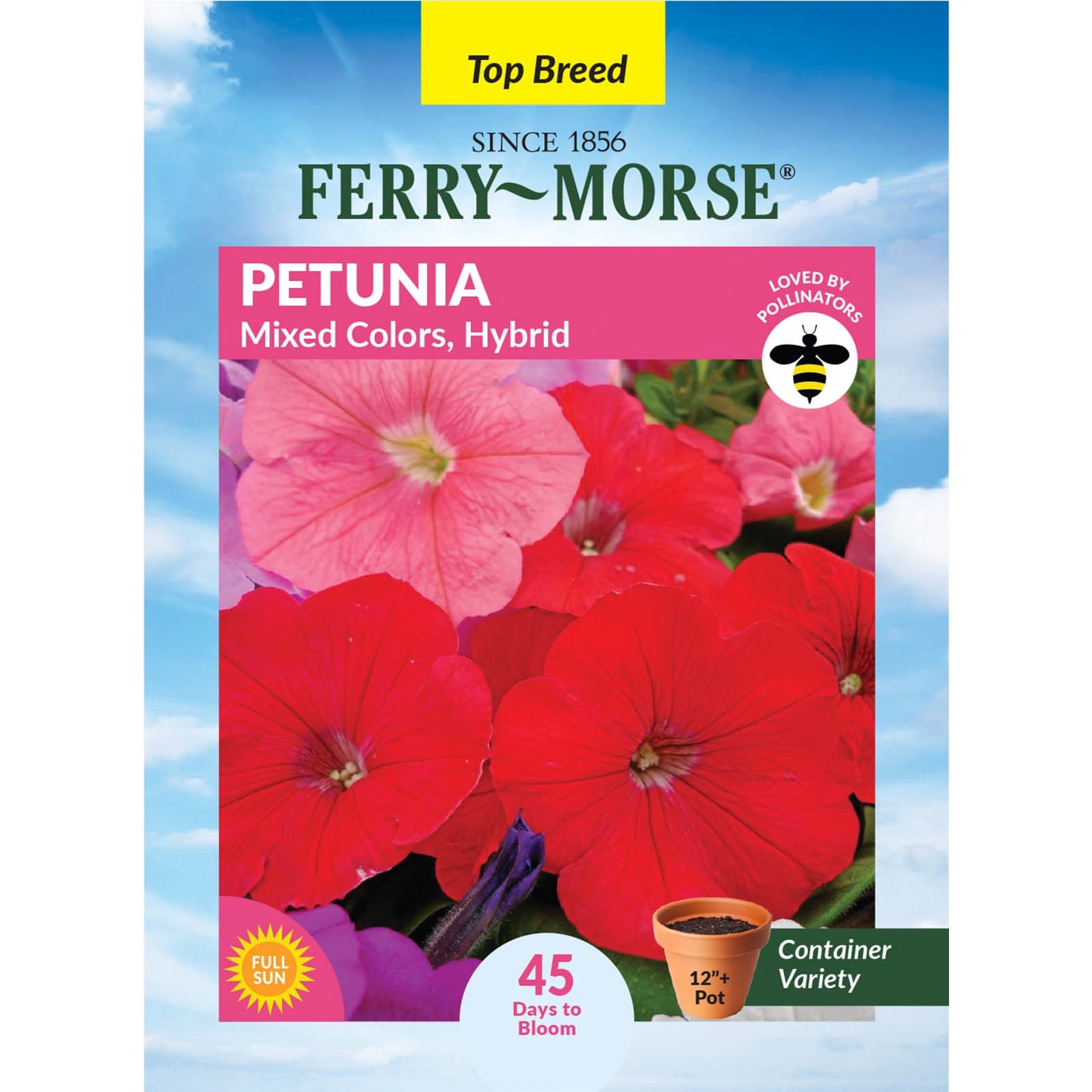 Ferry-Morse 15 PS Petunia Hybrid Mixed Colors PELLETED Annual Flower Seeds, Full Sun