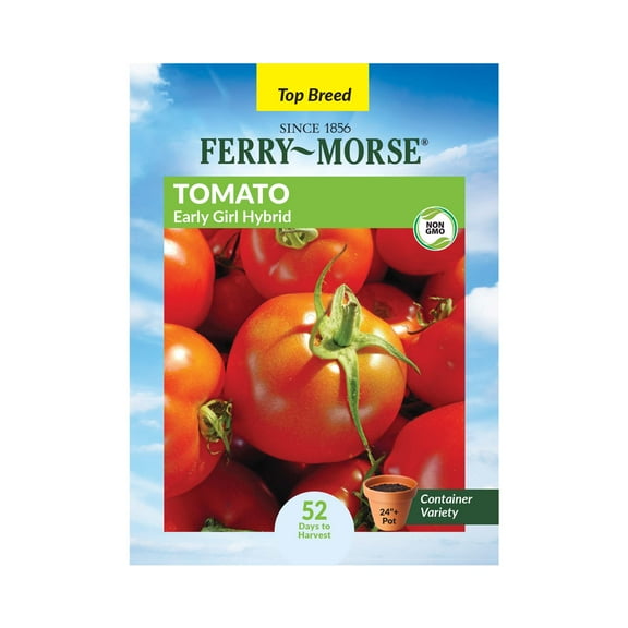 Ferry-Morse 15 PS Tomato Early Girl Hybrid Annual Vegetable Seeds, Full Sun