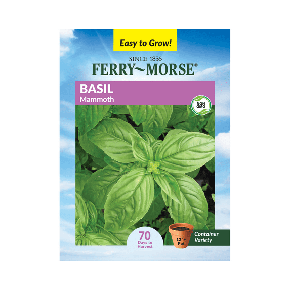 Ferry-Morse 150MG Basil Mammoth Annual Herb Seeds, Full Sun