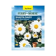 Ferry-Morse 150MG Shasta Daisy Dwarf Silver Princess Perennial Flower Seeds, Part - Full Sun
