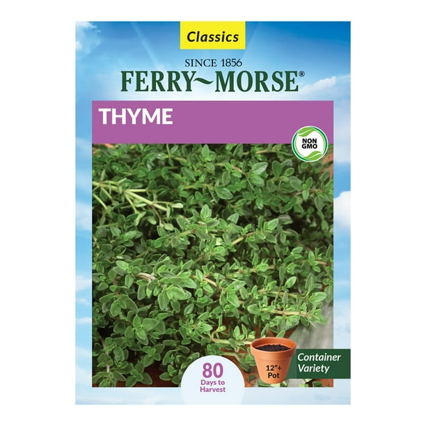 FerryMorse 150MG Thyme Herb Plant Seeds Full Sun Walmart Business