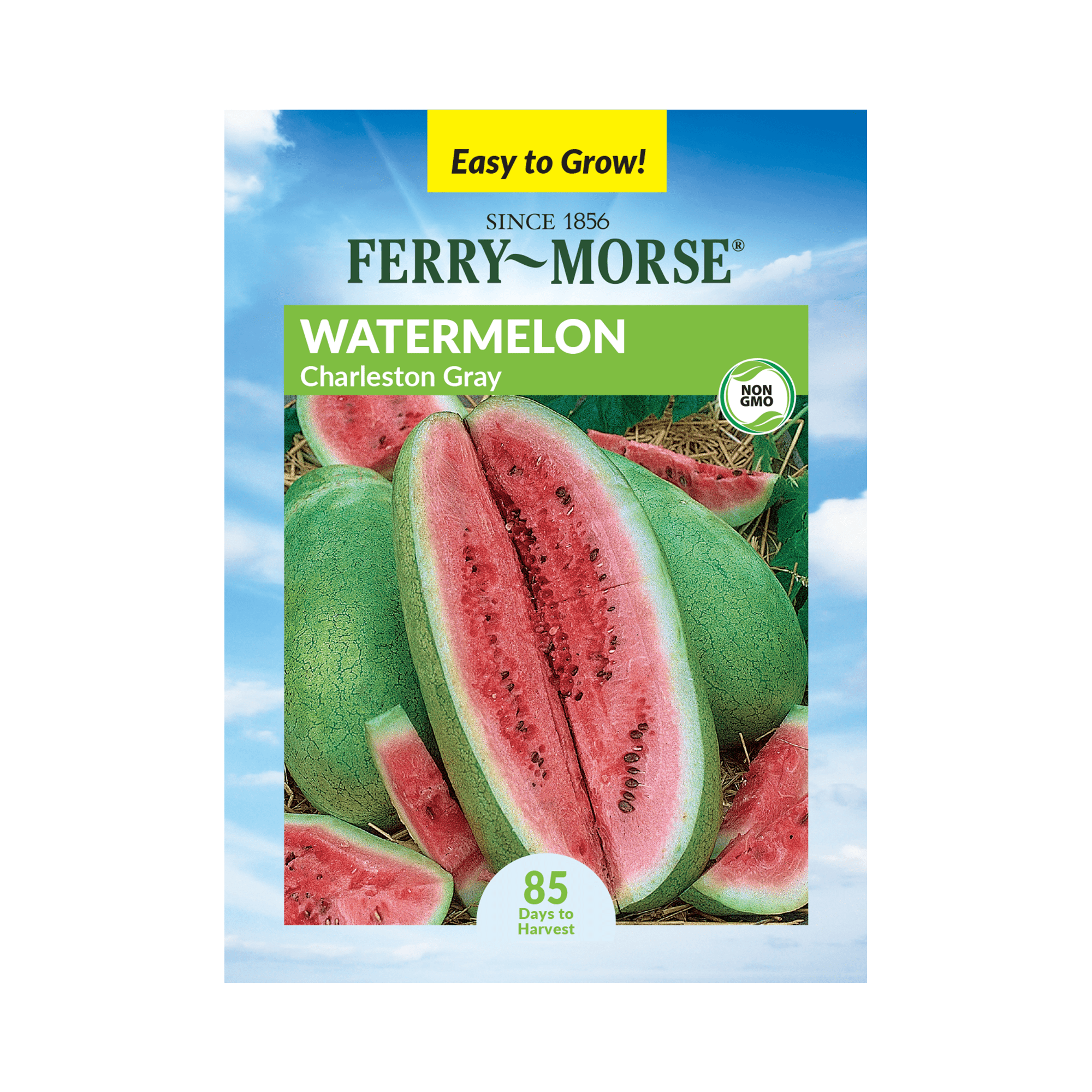 FerryMorse 1600MG Watermelon Charleston Gray Fruit Plant Seeds Full Sun