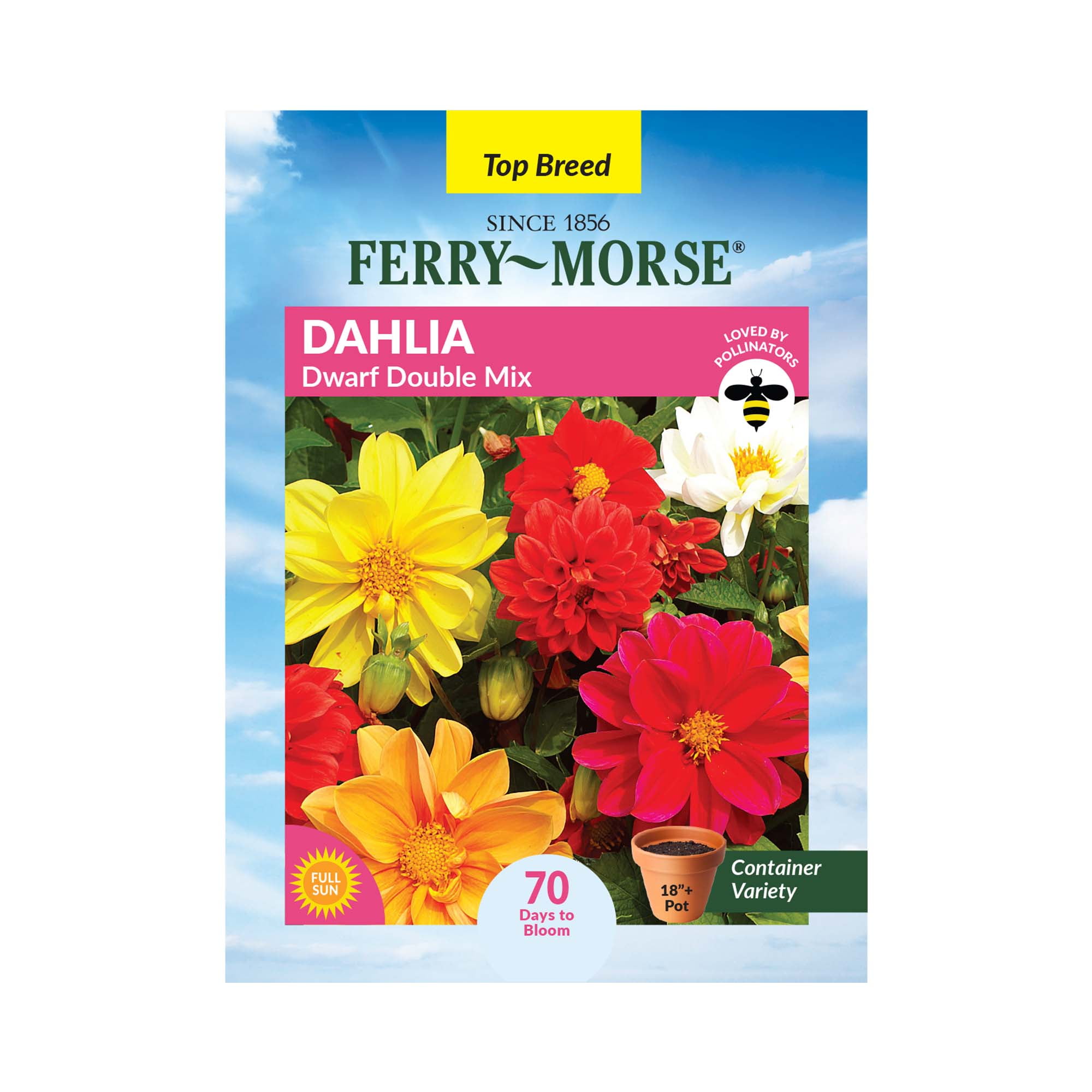 Imagen de producto 1