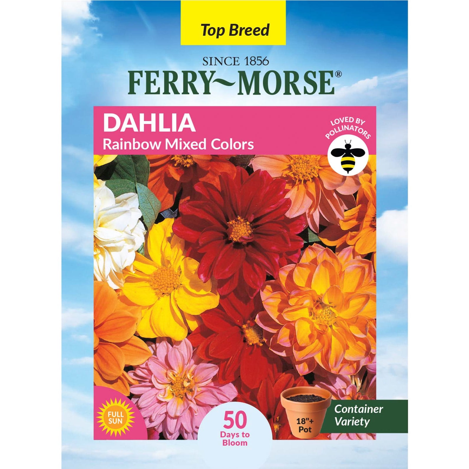 Customer reviews for Ferry-Morse Dahlia Rainbow Mixed Colors