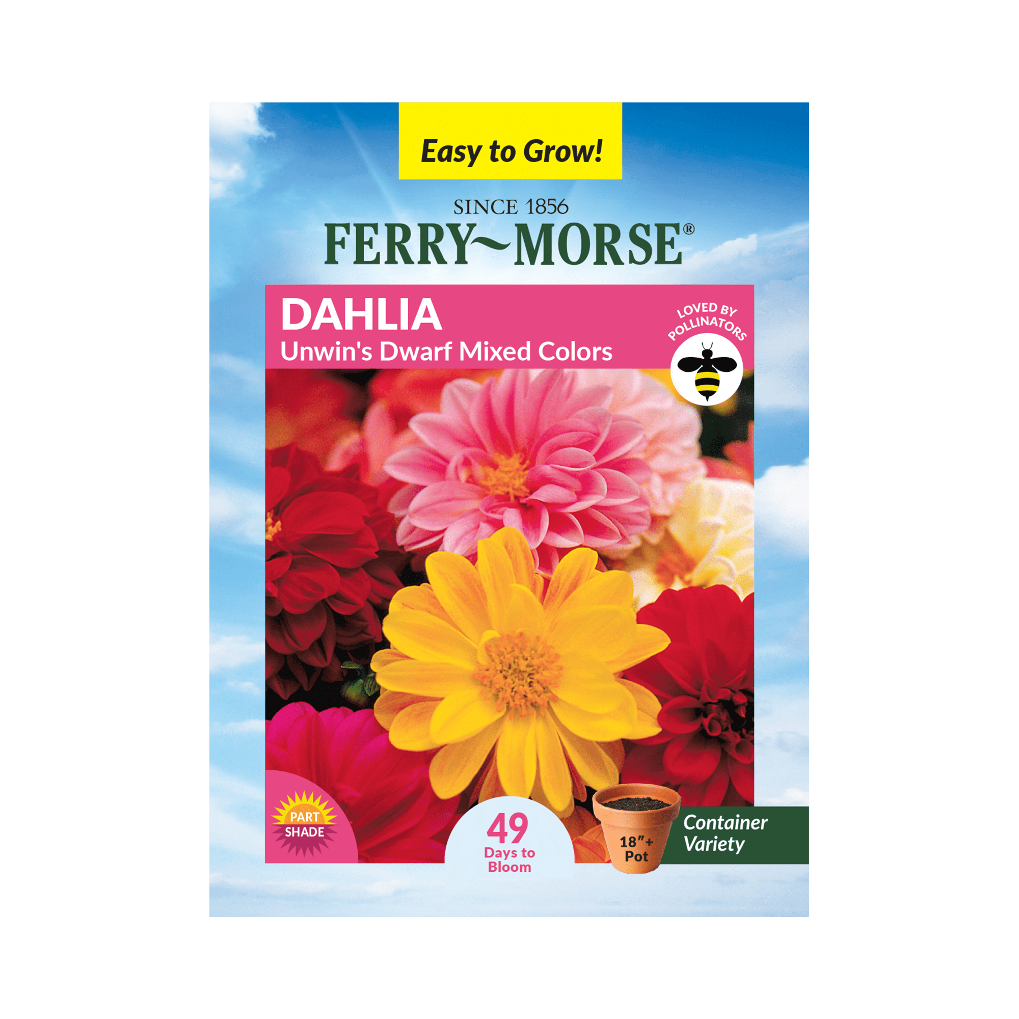 Ferry-Morse 160MG Dahlia Unwin's Dwarf Mixed Colors Annual Flower Seeds, Full Sun