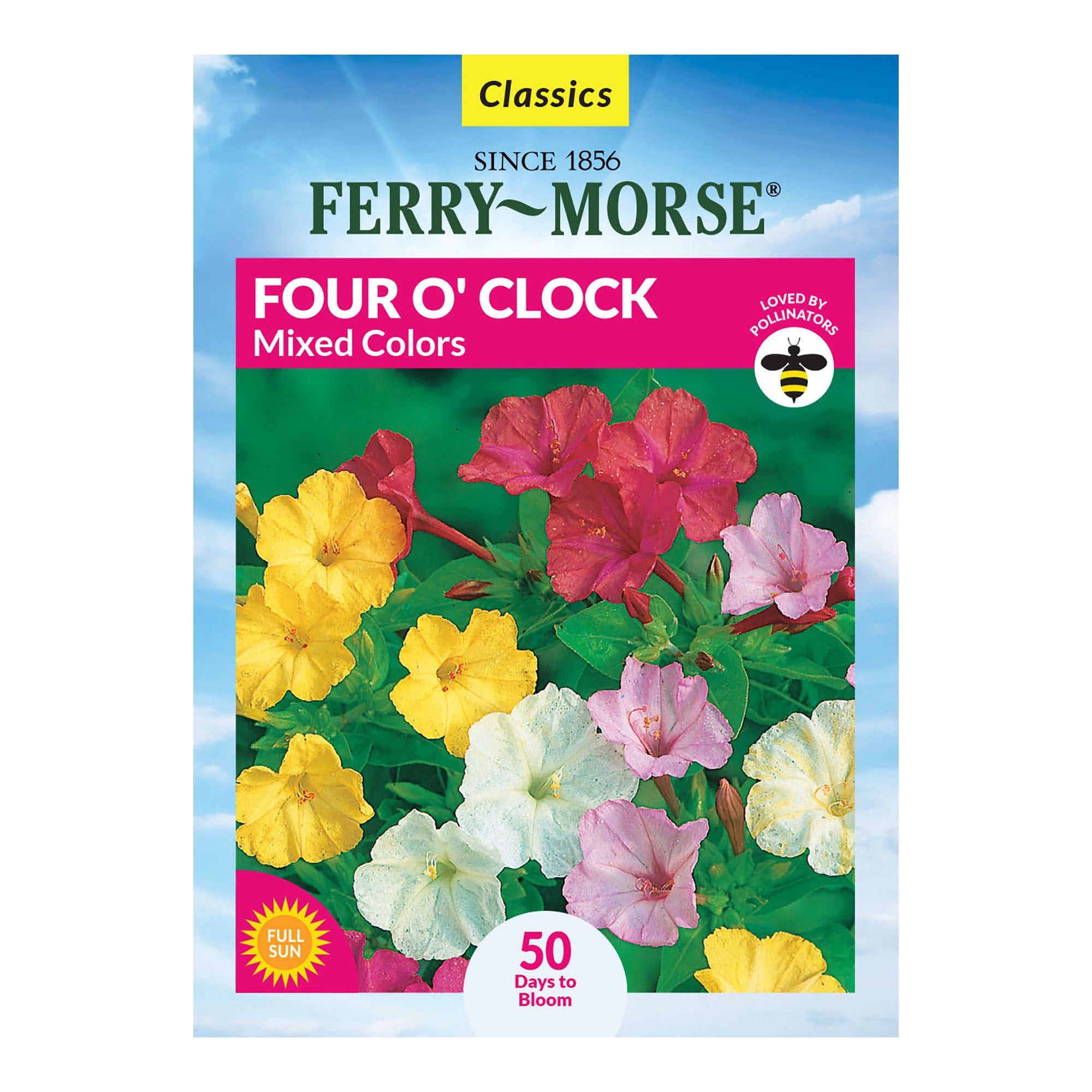 FerryMorse 1700MG Four O' Clock Mixed Colors Annual Flower Seeds Full Sun