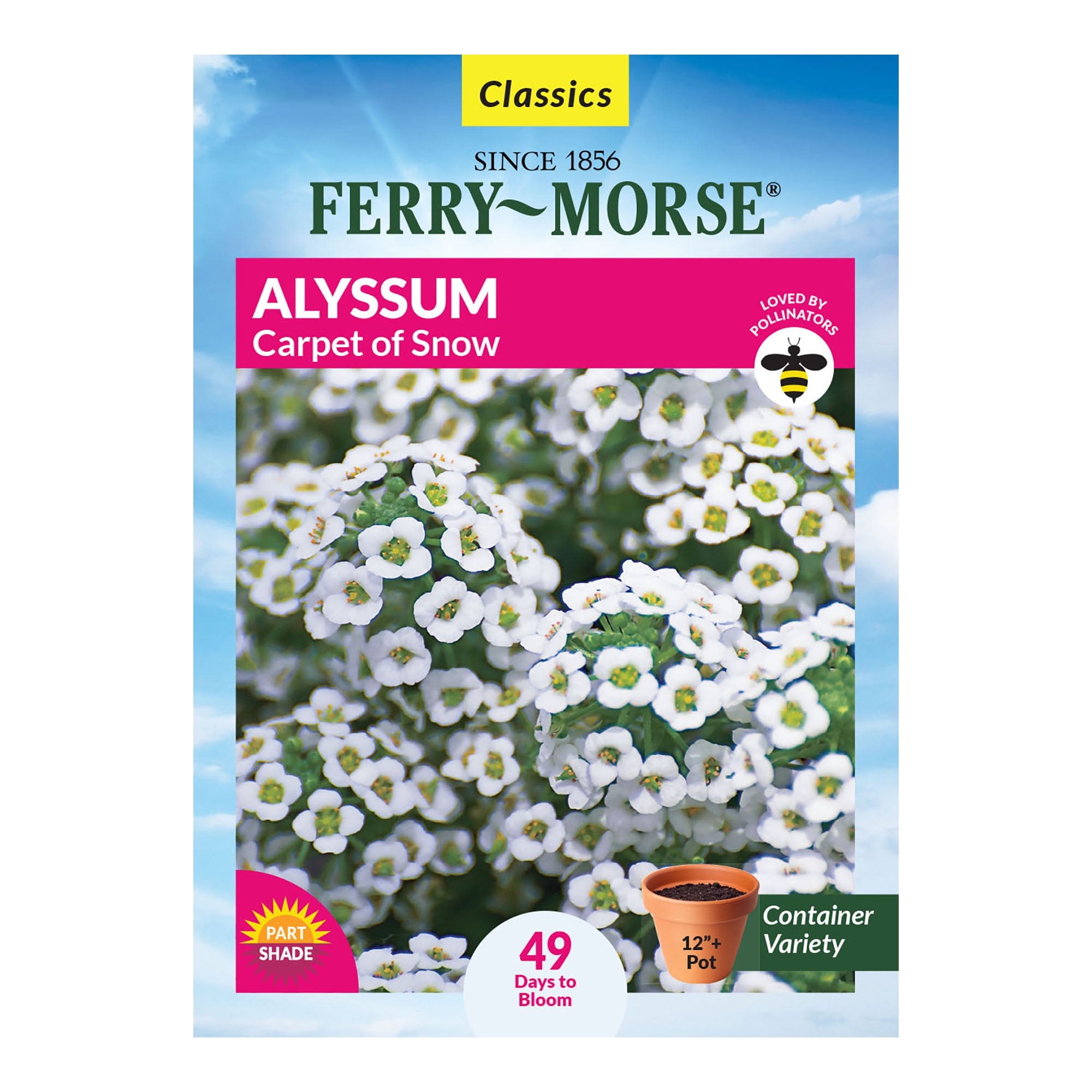 FerryMorse 170MG Alyssum Carpet of Snow Annual Flower Seeds Full Sun