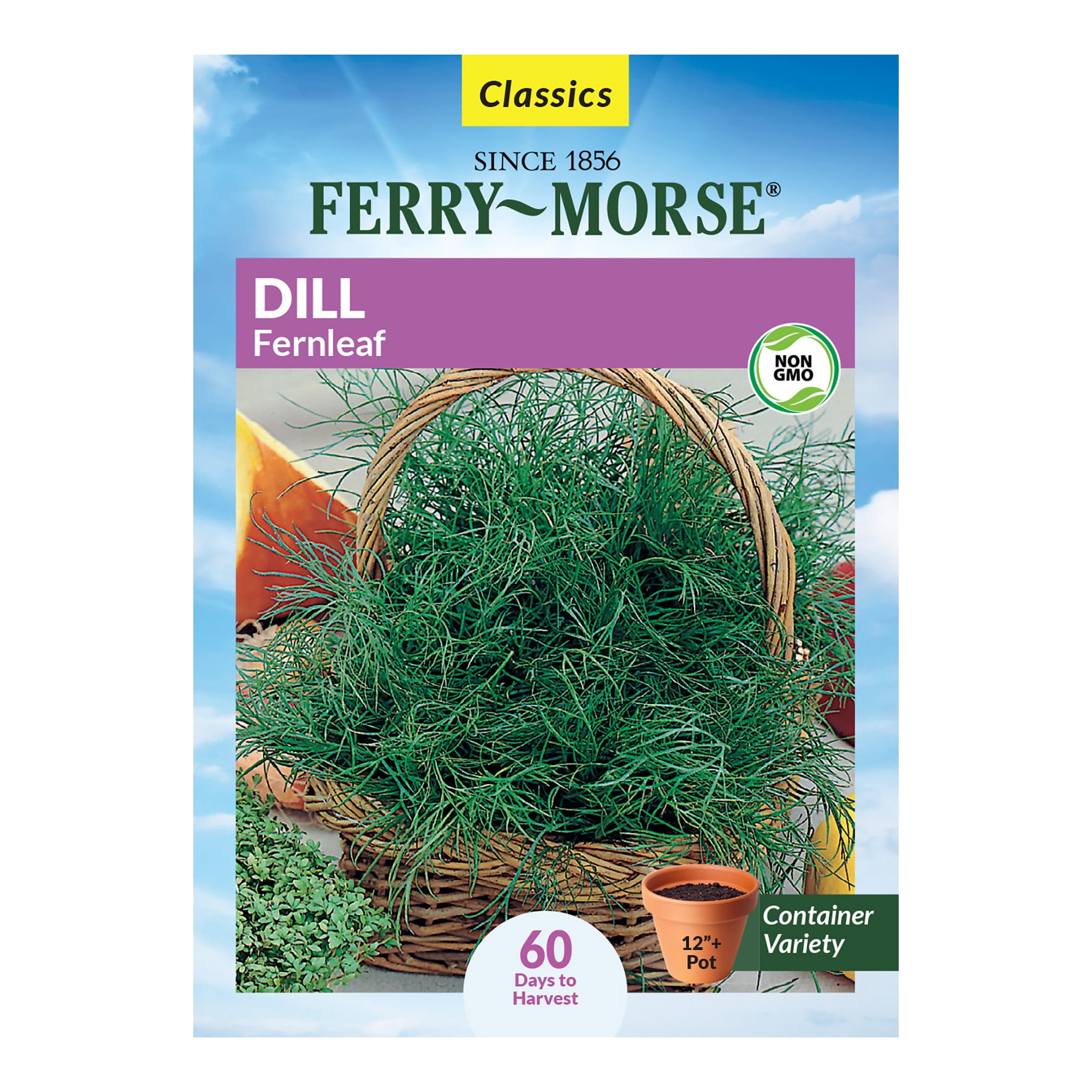 FerryMorse 170MG Dill Fernleaf Herb Plant Seeds Full Sun