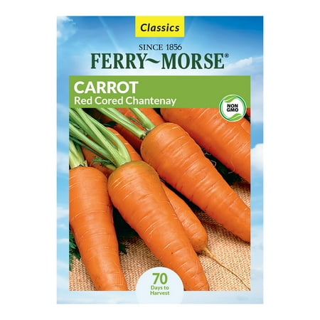 Ferry-Morse 1G Carrot Red Cored Chantenay Annual Vegetable Seeds, Full Sun
