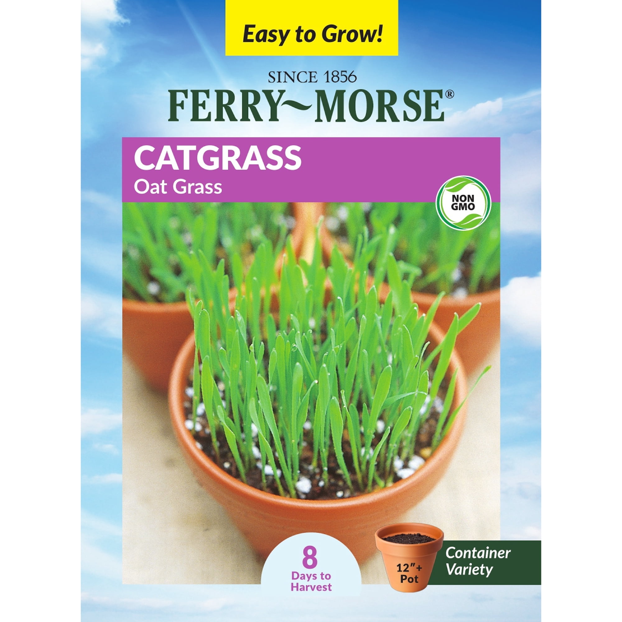 Ferry-Morse Cat Grass Annual Herb Seeds - Full Sun - 1G