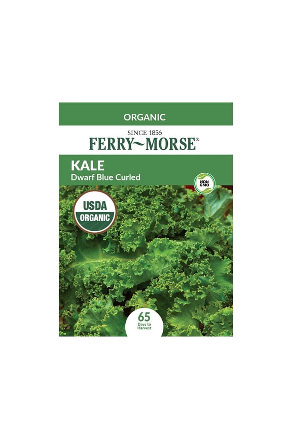 1G Kale Blue Curled Vates Biennial Vegetable Seeds, Full Sun