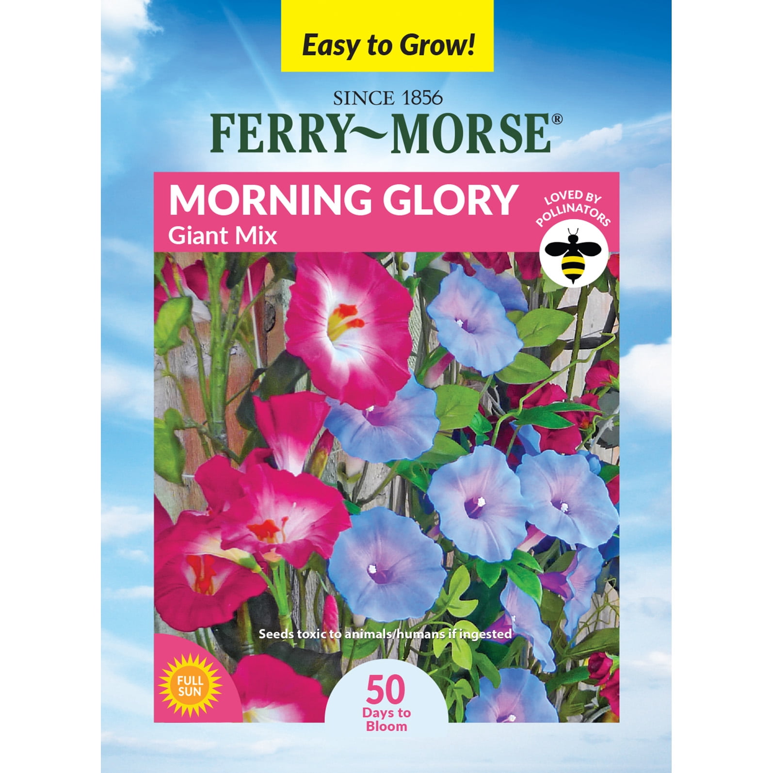 未開封　MORNING GLORY Synthetic Amazon.com: CISDUEO 2 Pcs Artificial Vines Silk Morning Glory