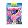 thumbnail image 1 of Ferry-Morse 1G Morning Glory Mammoth Mix Annual Flower Seeds, Full Sun, 1 of 10