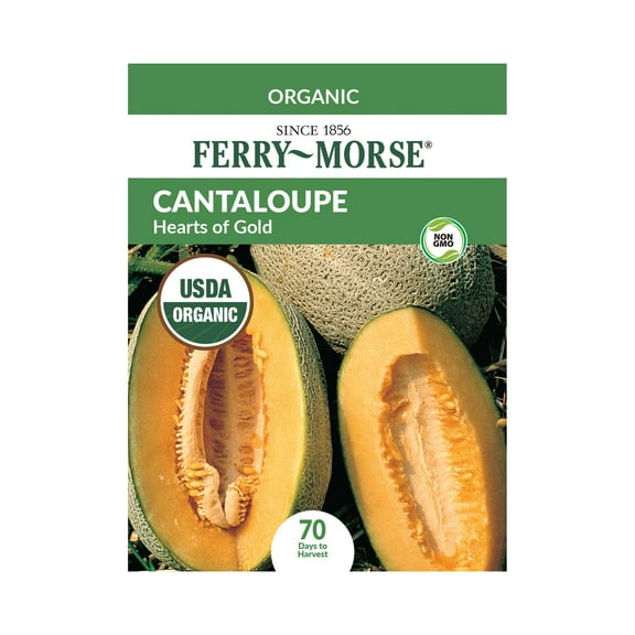 Ferry-Morse Organic 1G Cantaloupe Hearts of Gold Annual Fruit Seeds, Full Sun