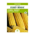 thumbnail image 1 of Ferry-Morse 1G Sweet Corn Early Sunglow Hybrid Vegetable Plant Seed Full Sun, 1 of 10