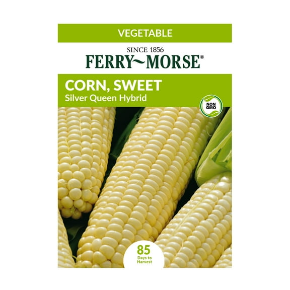 Ferry-Morse 1G Sweet Corn Silver Queen Hybrid Vegetable Plant Seed Full Sun