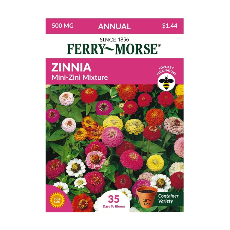 Ferry-Morse 1G Zinnia Mini-Zini Mixture Annual Flower Seeds Full