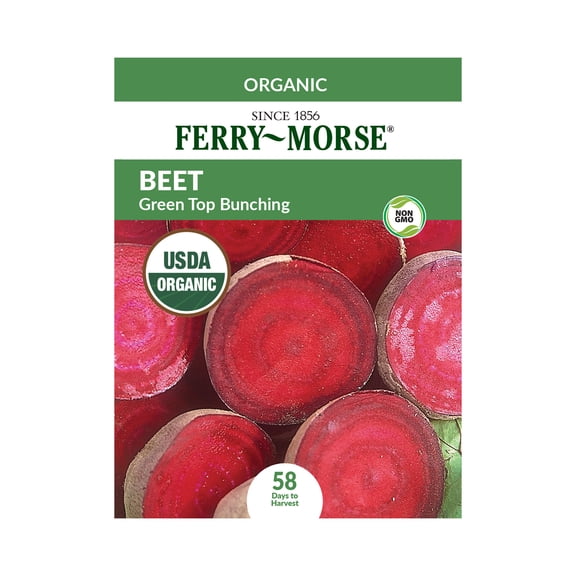 Ferry-Morse Organic 2.2G Beet Green Top Bunching Annual Vegetable Seeds, Full Sun