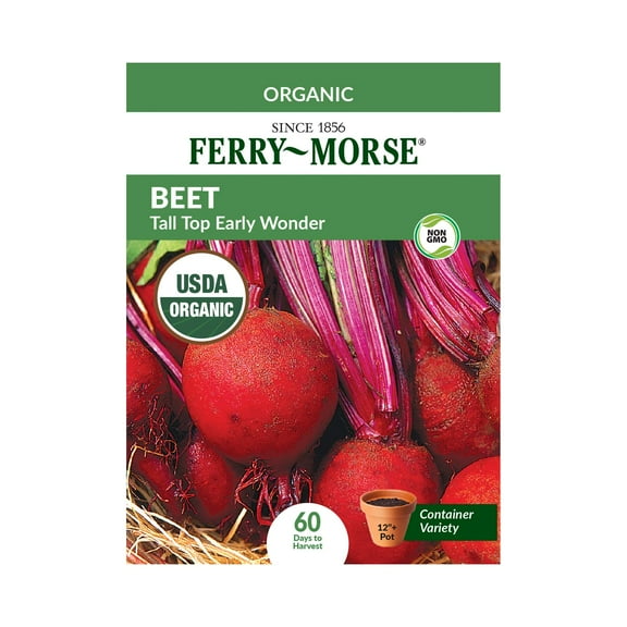 Ferry-Morse Organic 2.2G Beet Tall Top Early Wonder Annual Vegetable Seeds, Full Sun