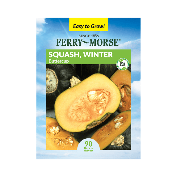 Ferry-Morse 2.5G Squash Buttercup Annual Vegetable Seeds, Full Sun