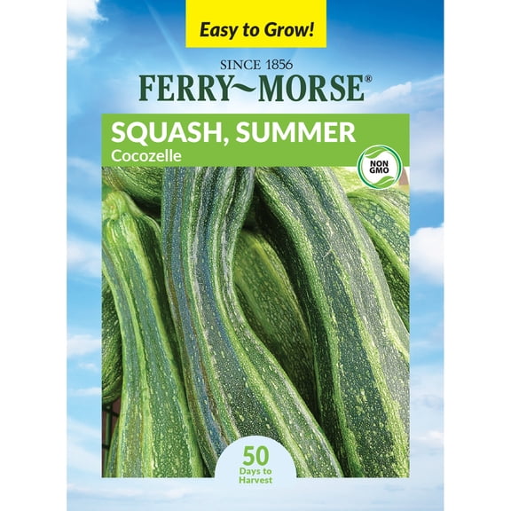 Ferry-Morse 2.5G Squash Cocozelle Annual Vegetable Seeds, Full Sun