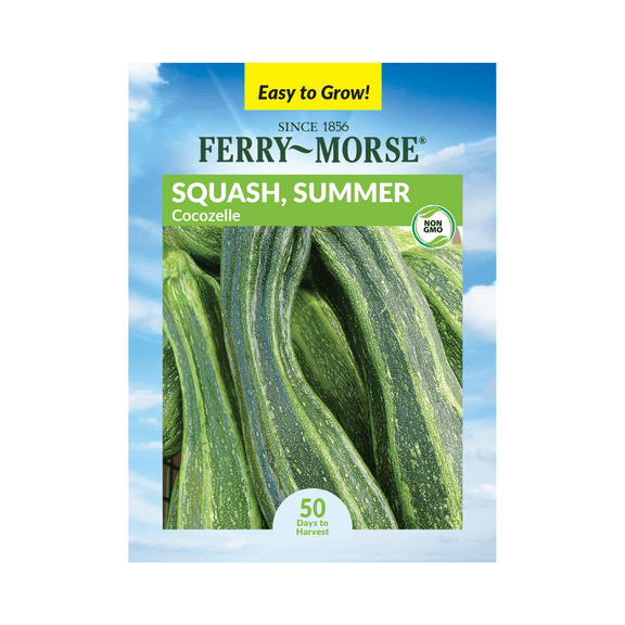 Ferry-Morse 2.5G Squash Cocozelle Annual Vegetable Seeds, Full Sun