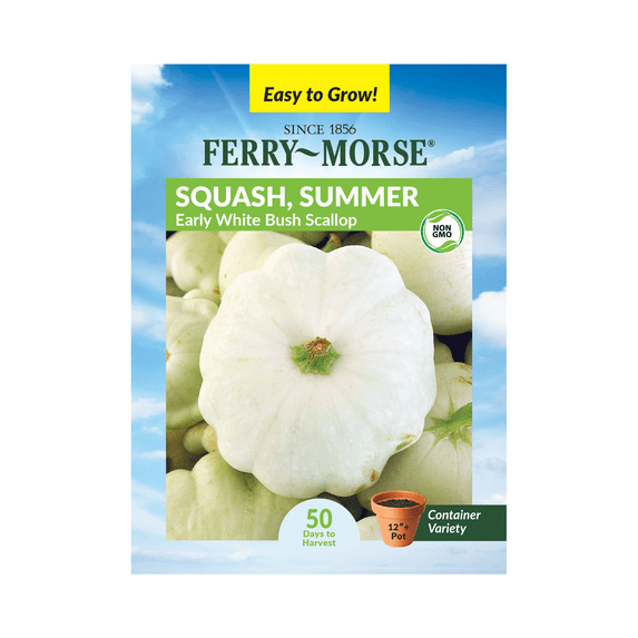 Ferry-Morse 2.5G Squash Early White Bush Scallop Annual Vegetable Seeds, Full Sun